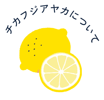 チカフジアヤカについて